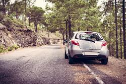 rent a car