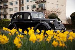 alquiler de autos