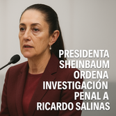 ricardo salinas